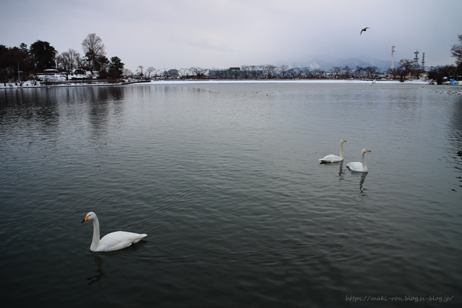 IMG_3934.png