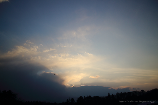 IMG_4050.png