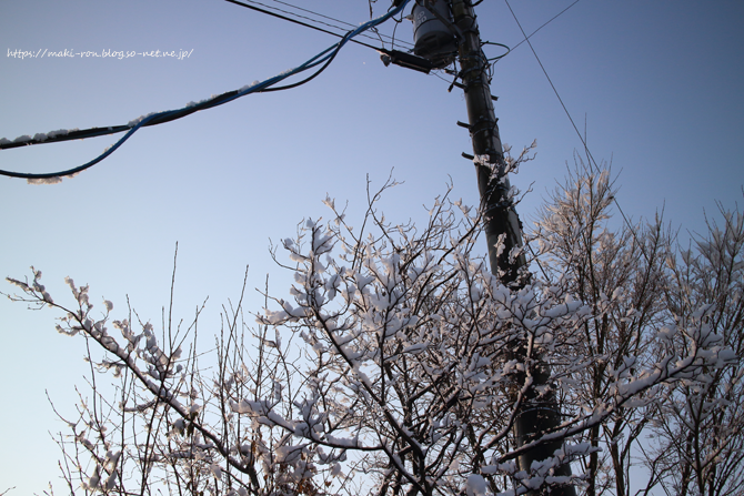 IMG_4079.png