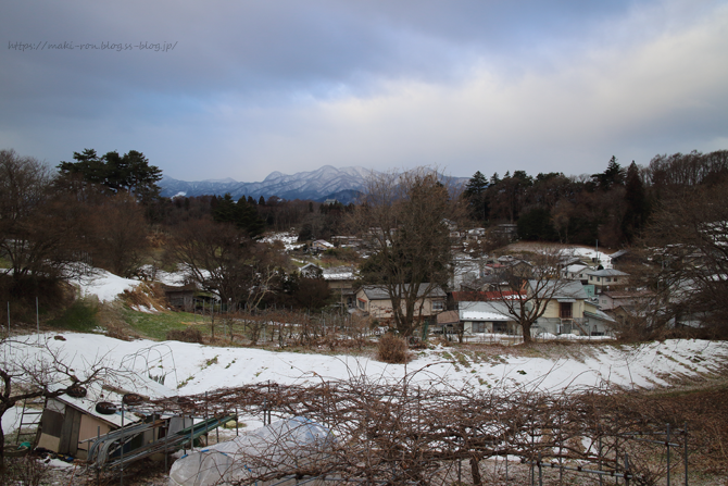 IMG_4088.png