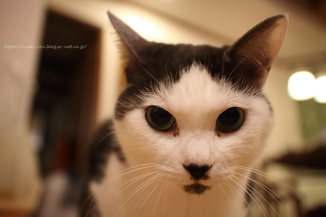 IMG_4102.png