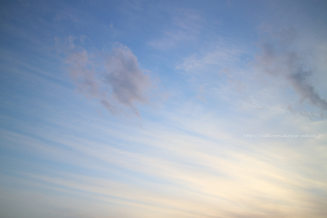 IMG_4142.png