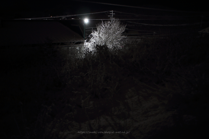 IMG_4196.png