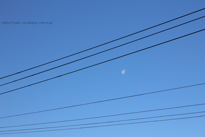 IMG_4208.png