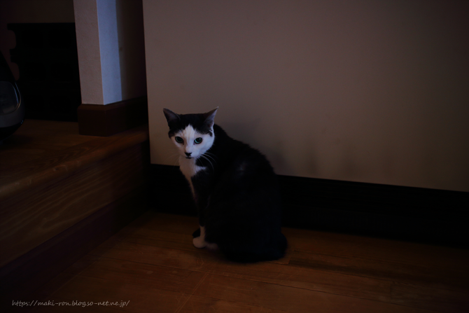 IMG_4250.png