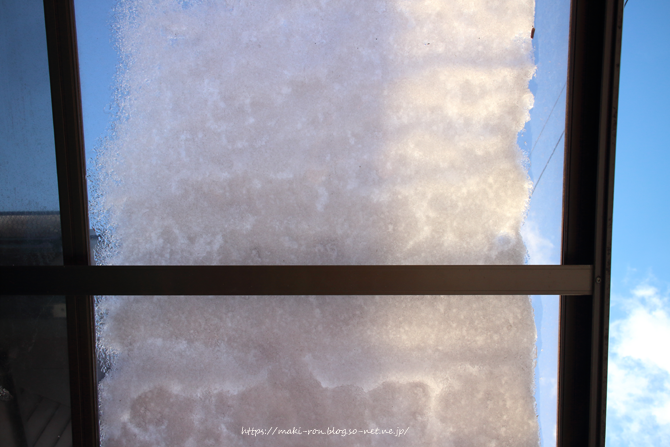 IMG_4268.png