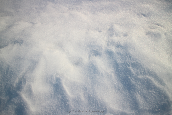 IMG_4281.png