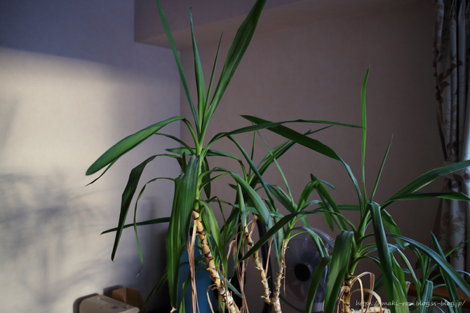 IMG_4295.png