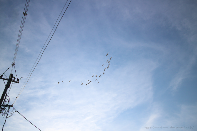 IMG_4401.png