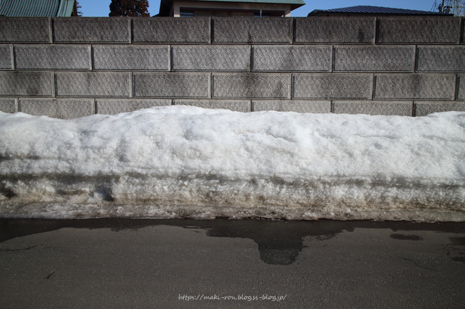 IMG_4403.png