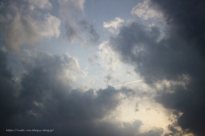 IMG_4410.png