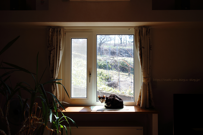 IMG_4459.png