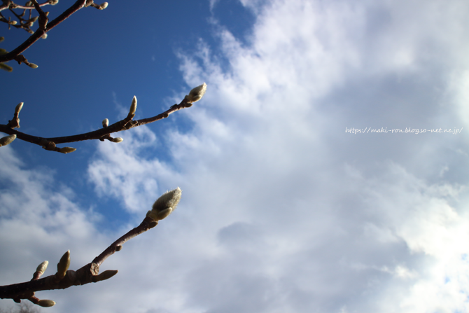 IMG_4474.png