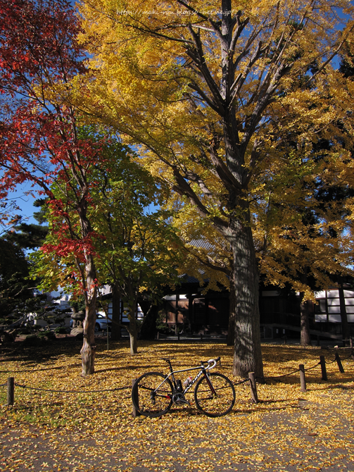 IMG_4514.png