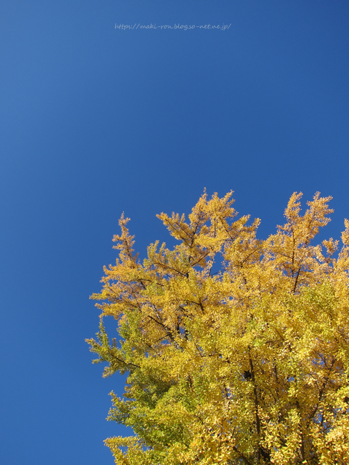 IMG_4515.png