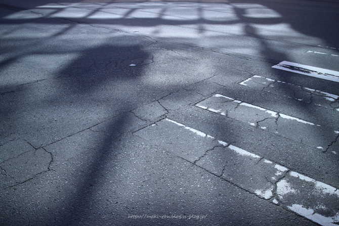 IMG_4541.png