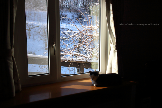 IMG_4580.png