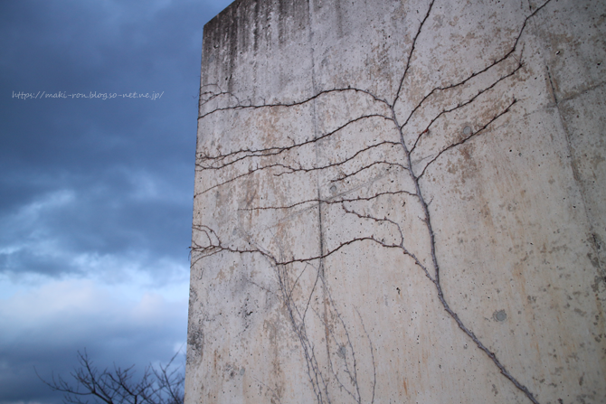 IMG_4592.png