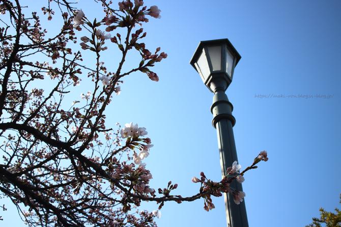 IMG_4618.png