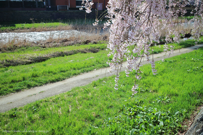 IMG_4687.png