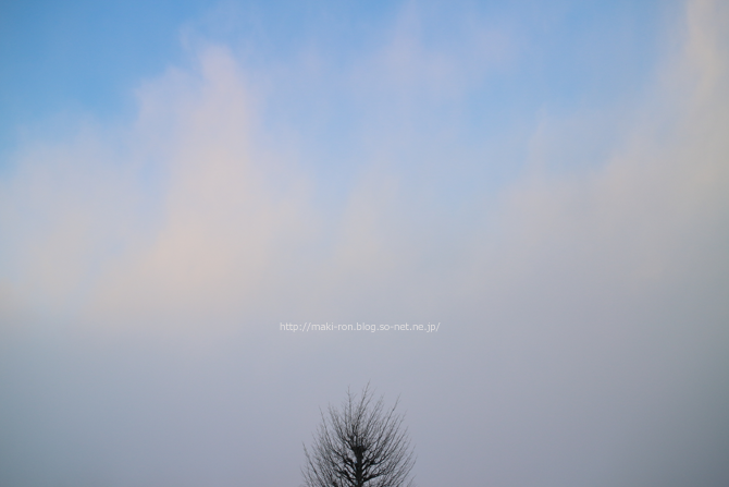 IMG_4697.png