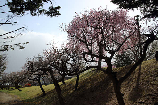 IMG_4700.png
