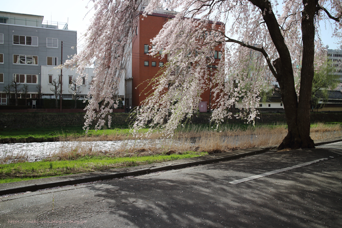 IMG_4705.png