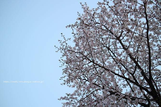 IMG_4781.png