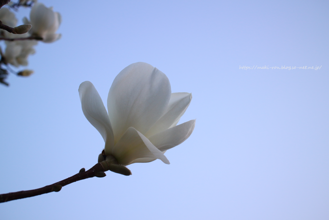 IMG_4798.png