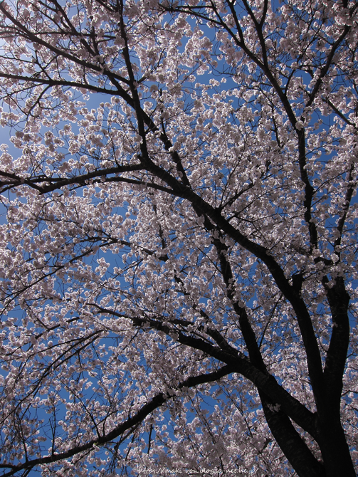 IMG_4883.png