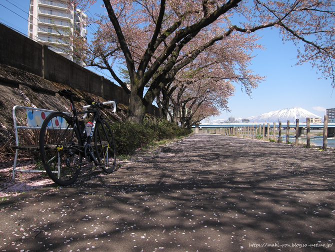 IMG_4905.png