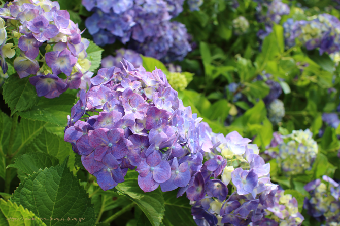 IMG_5042.png