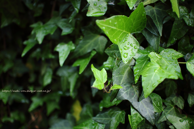 IMG_5052.png