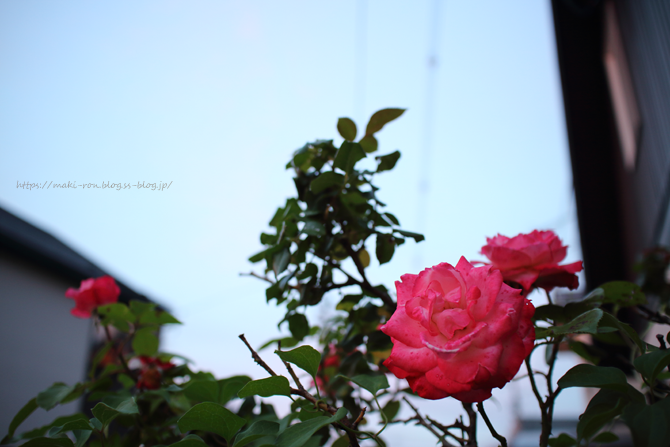 IMG_5078.png