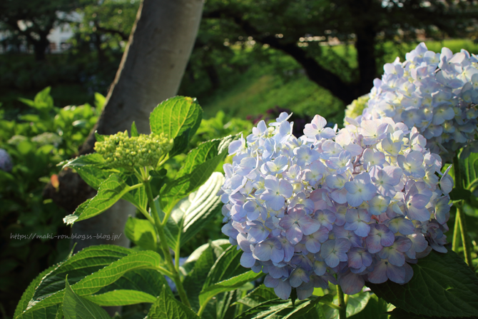 IMG_5093.png
