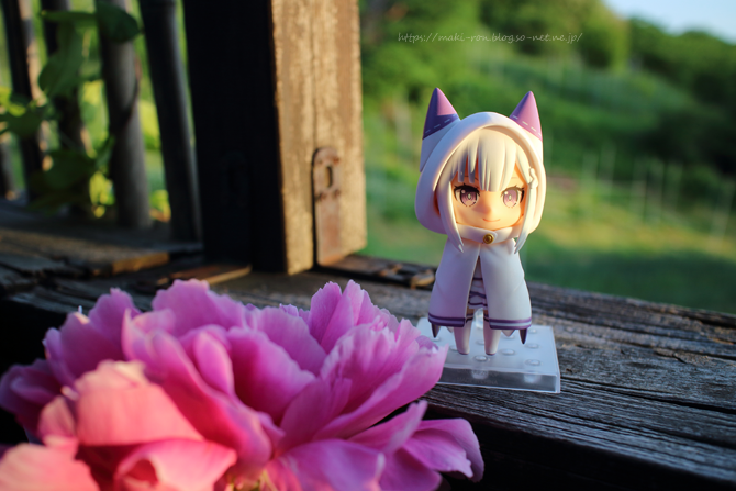 IMG_5119.png