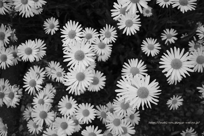 IMG_5164.png