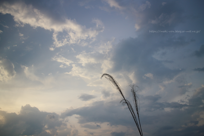 IMG_5167.png