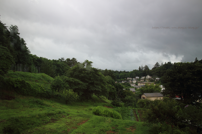IMG_5175.png