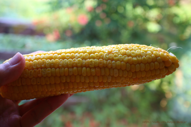 IMG_5177.png