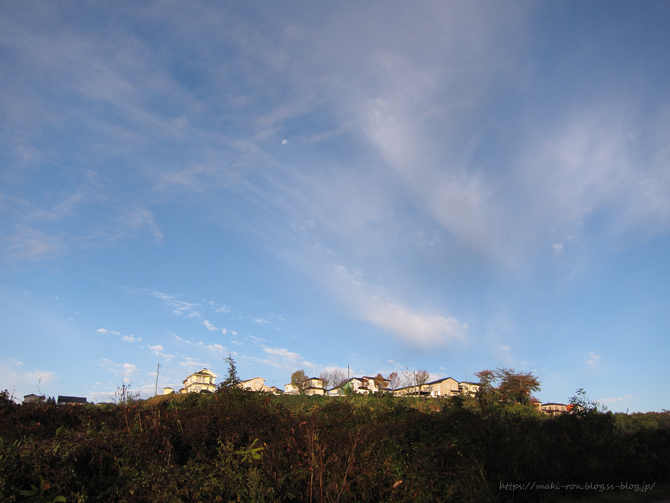 IMG_5203.png