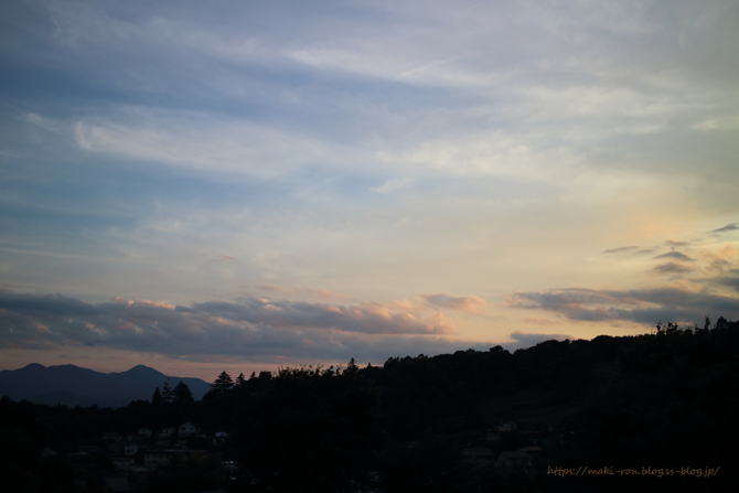 IMG_5208.png