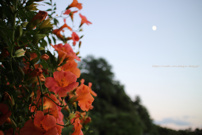 IMG_5222.png