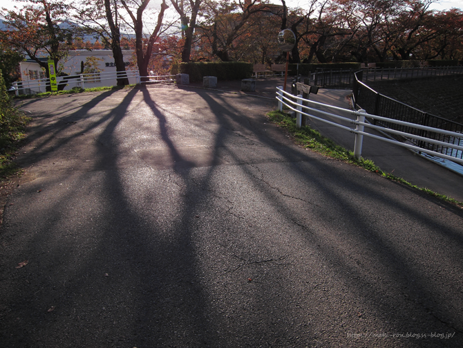 IMG_5252.png