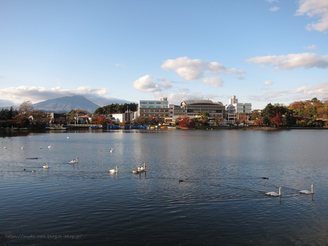 IMG_5266.png