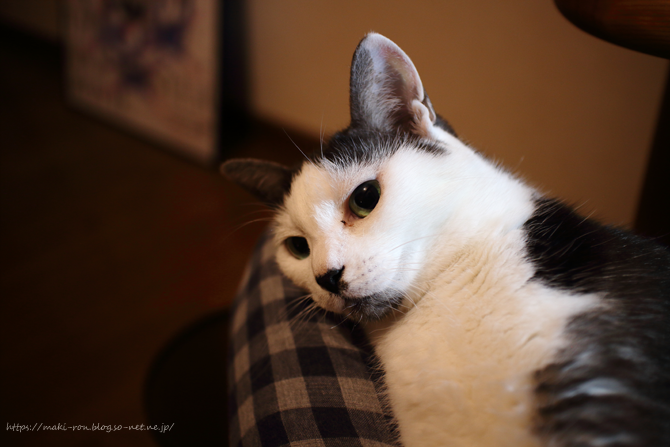 IMG_5295.png