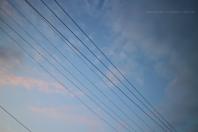 IMG_5431.png