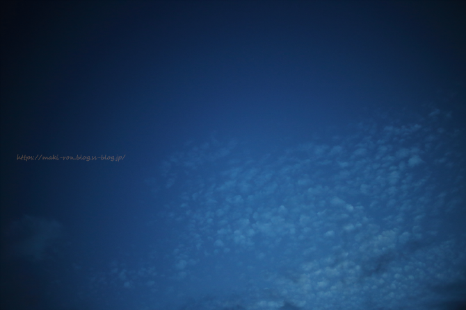IMG_5432.png