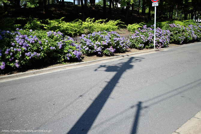 IMG_5437.png