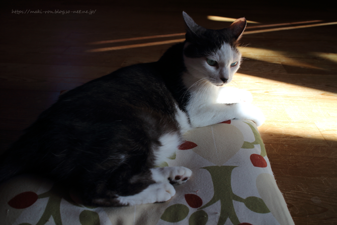 IMG_5460.png